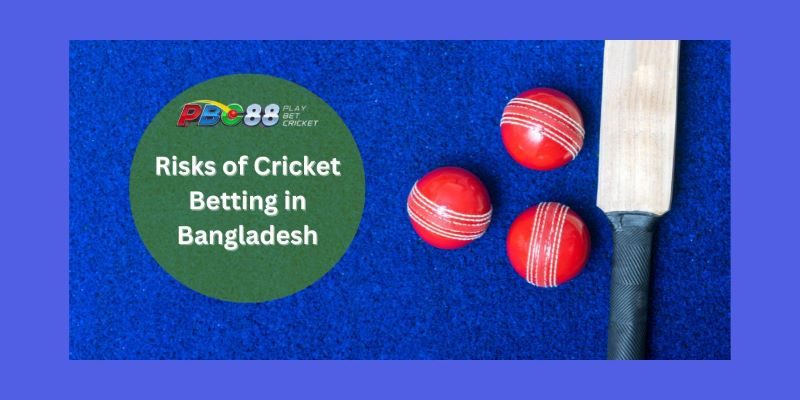 What Are the Risks of Cricket Betting in Bangladesh