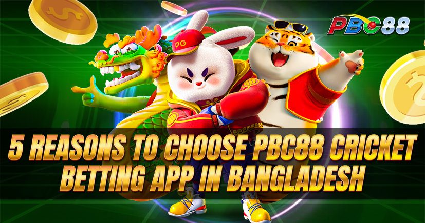 5 Reasons To Choose PBC88 Cricket Betting App in Bangladesh